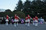 Dcim9775/DSC_1916