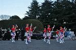 Dcim9775/DSC_1919