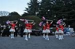 Dcim9775/DSC_1933