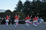 Dcim9775/DSC_1960