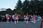 Dcim9776/DSC_1979