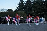 Dcim9776/DSC_1984