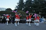 Dcim9776/DSC_1987