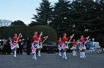 Dcim9776/DSC_2017