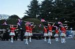 Dcim9776/DSC_2029
