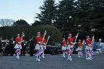 Dcim9776/DSC_2036