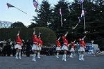 Dcim9776/DSC_2042