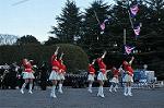Dcim9776/DSC_2043