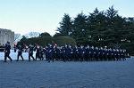 Dcim9776/DSC_2113