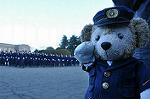 Dcim9776/DSC_2121