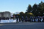 Dcim9777/DSC_2174