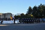 Dcim9777/DSC_2208