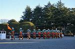 Dcim9777/DSC_2217