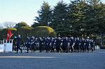Dcim9777/DSC_2229