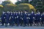 Dcim9777/DSC_2233