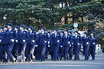 Dcim9778/DSC_2297