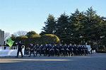 Dcim9778/DSC_2306