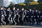 Dcim9778/DSC_2308