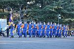 Dcim9778/DSC_2313