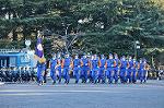 Dcim9778/DSC_2315