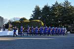 Dcim9778/DSC_2317