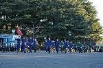Dcim9778/DSC_2330