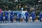 Dcim9778/DSC_2332