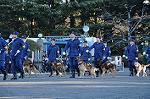 Dcim9778/DSC_2335