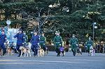 Dcim9778/DSC_2337