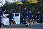 Dcim9778/DSC_2338