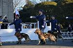Dcim9778/DSC_2339