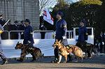 Dcim9778/DSC_2340