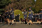 Dcim9778/DSC_2347