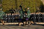 Dcim9778/DSC_2349