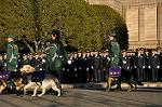 Dcim9778/DSC_2350