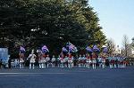 Dcim9778/DSC_2374