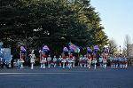 Dcim9778/DSC_2375