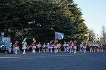 Dcim9778/DSC_2377