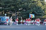 Dcim9778/DSC_2380
