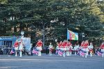 Dcim9778/DSC_2382