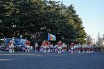 Dcim9778/DSC_2384
