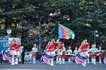Dcim9778/DSC_2385