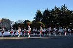 Dcim9778/DSC_2400