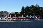 Dcim9778/DSC_2401