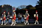Dcim9778/DSC_2411