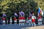 Dcim9779/DSC_2425