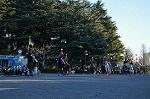 Dcim9779/DSC_2430