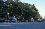Dcim9779/DSC_2431