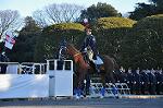 Dcim9779/DSC_2446
