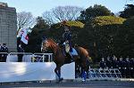 Dcim9779/DSC_2447